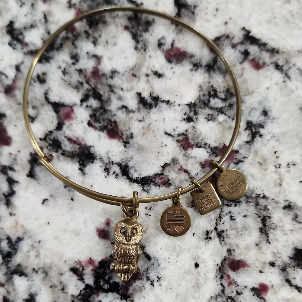 Alex and Ani Owl Charm Bangle Bracelet, Charity by Design